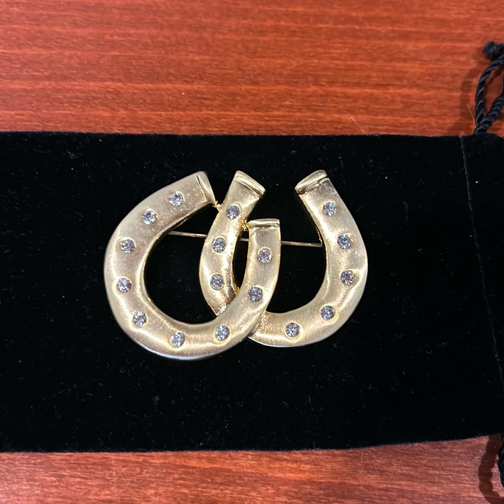 Horseshoe Brooche